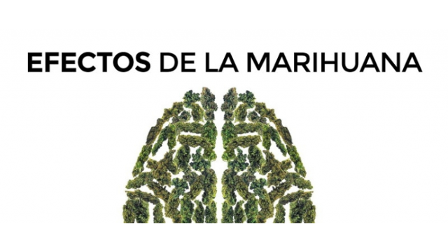 ¿Qué pasa cuando consumo marihuana? Todos sus efectos explicados